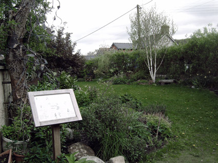 Compton's Yard Charitable Trust's wildlife-friendly garden behind Llanidloes Resource Centre